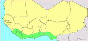 carte H. gerstaeckeri