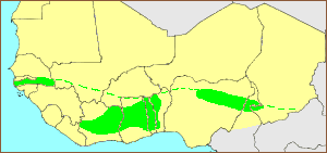 carte T. villosus