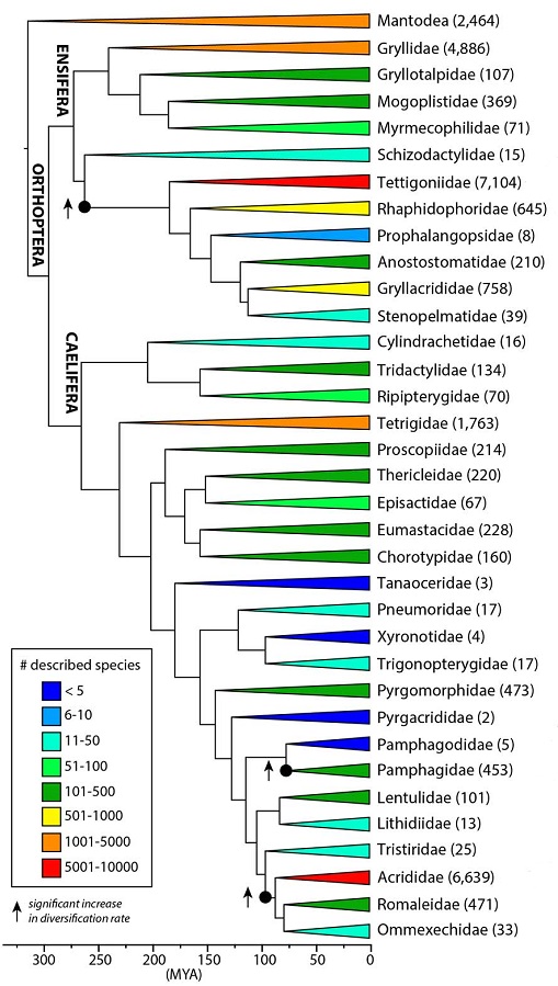 Song et al 2015